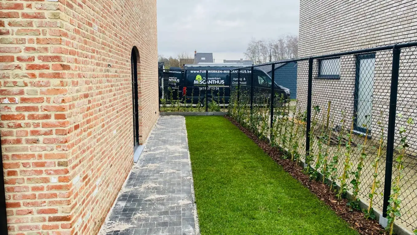 tuin