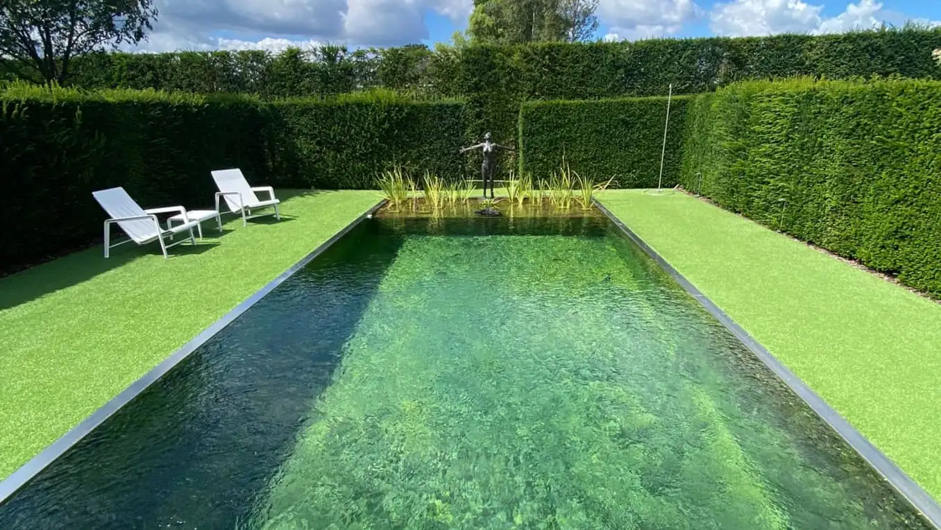 tuin