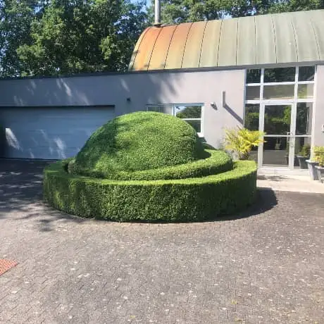 tuin