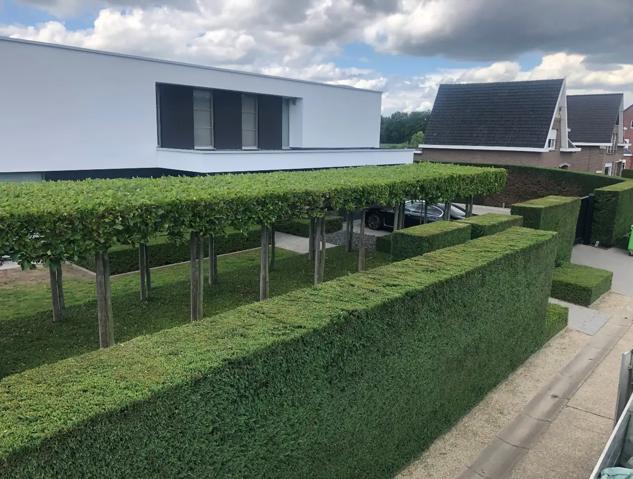 tuin