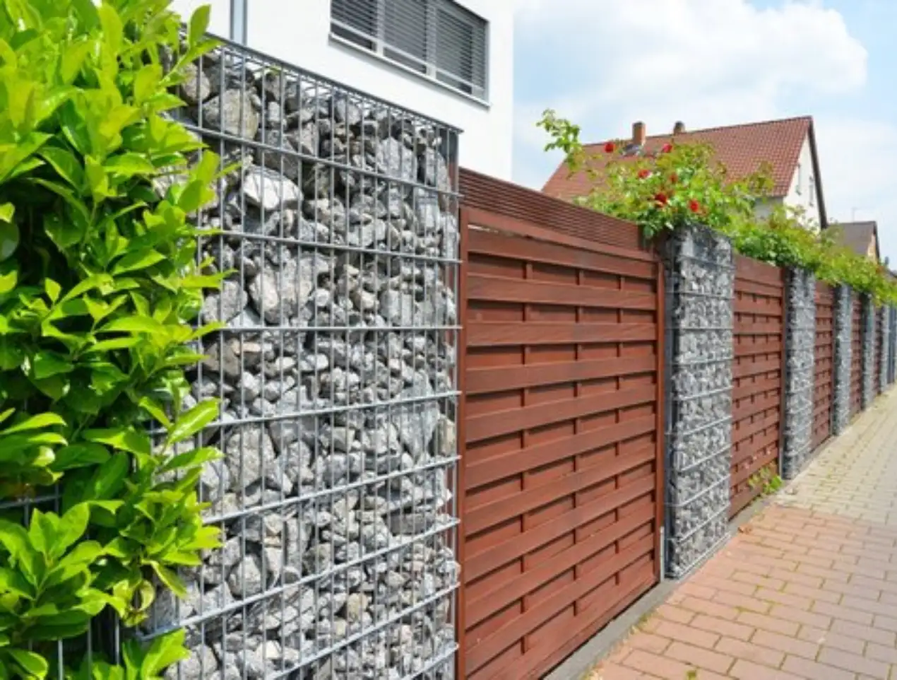 tuin