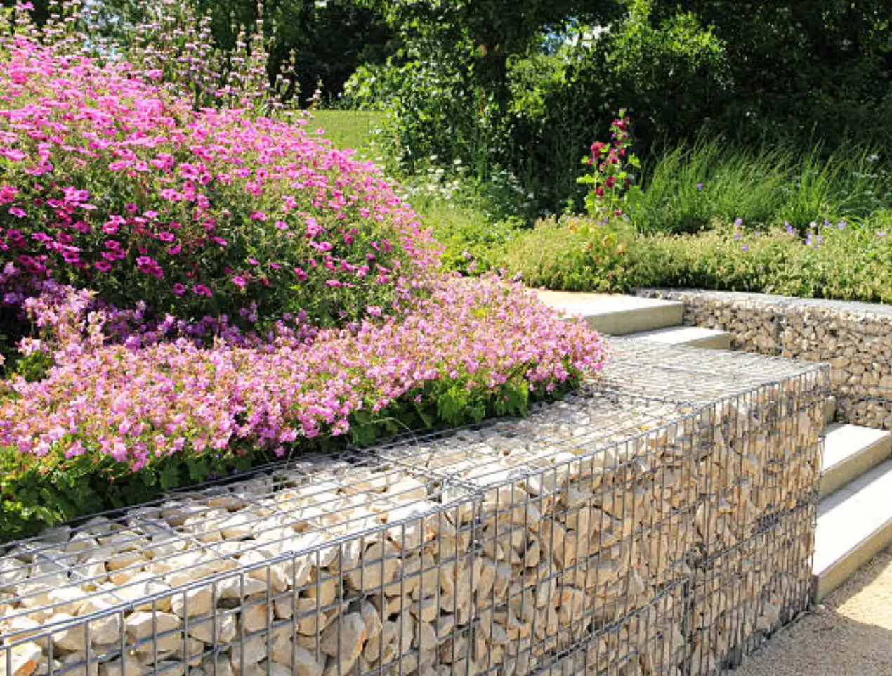 tuin
